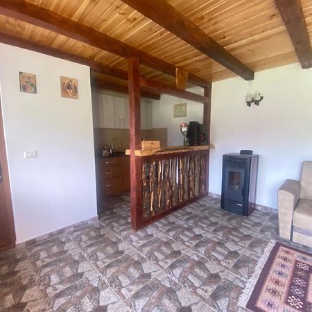 Hotel Casa Prundari Nicu Si Mirela Poiana Teiului Esterno foto