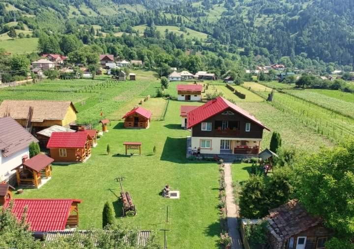 Hotel Casa Prundari Nicu Si Mirela Poiana Teiului Esterno foto
