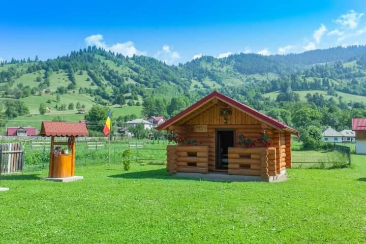 Hotel Casa Prundari Nicu Si Mirela Poiana Teiului Esterno foto