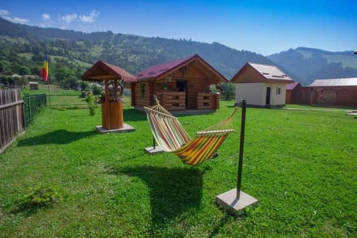 Hotel Casa Prundari Nicu Si Mirela Poiana Teiului Esterno foto
