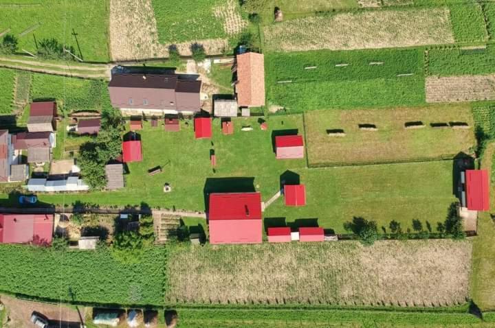 Hotel Casa Prundari Nicu Si Mirela Poiana Teiului Esterno foto