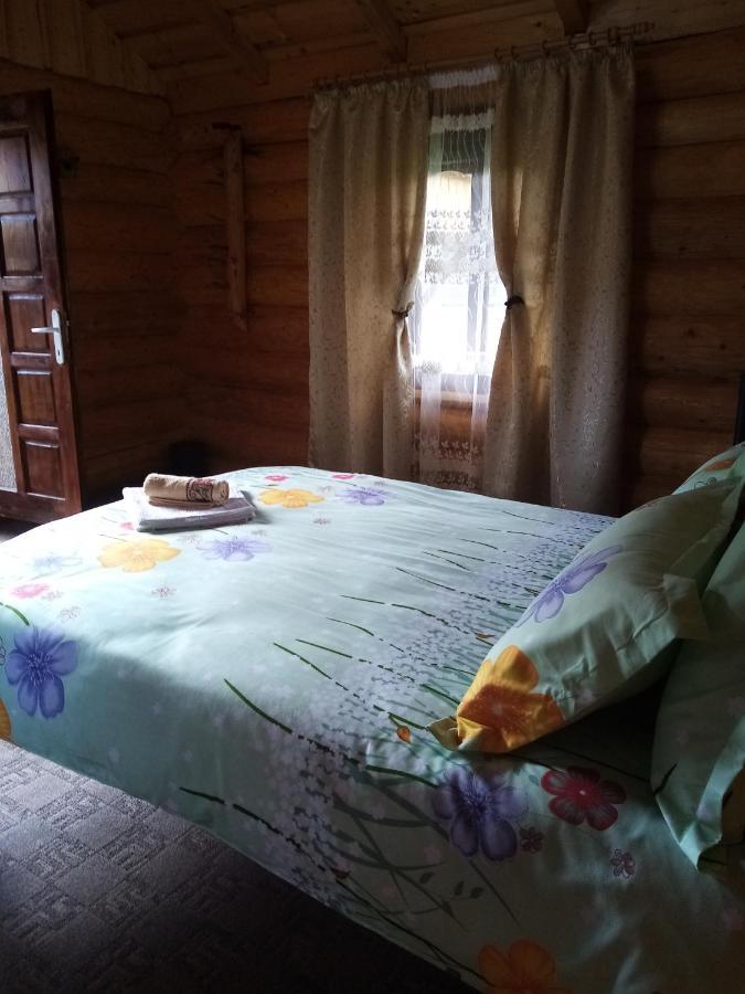 Hotel Casa Prundari Nicu Si Mirela Poiana Teiului Esterno foto