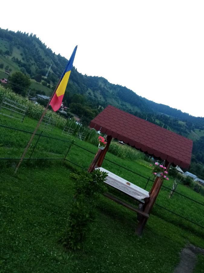 Hotel Casa Prundari Nicu Si Mirela Poiana Teiului Esterno foto