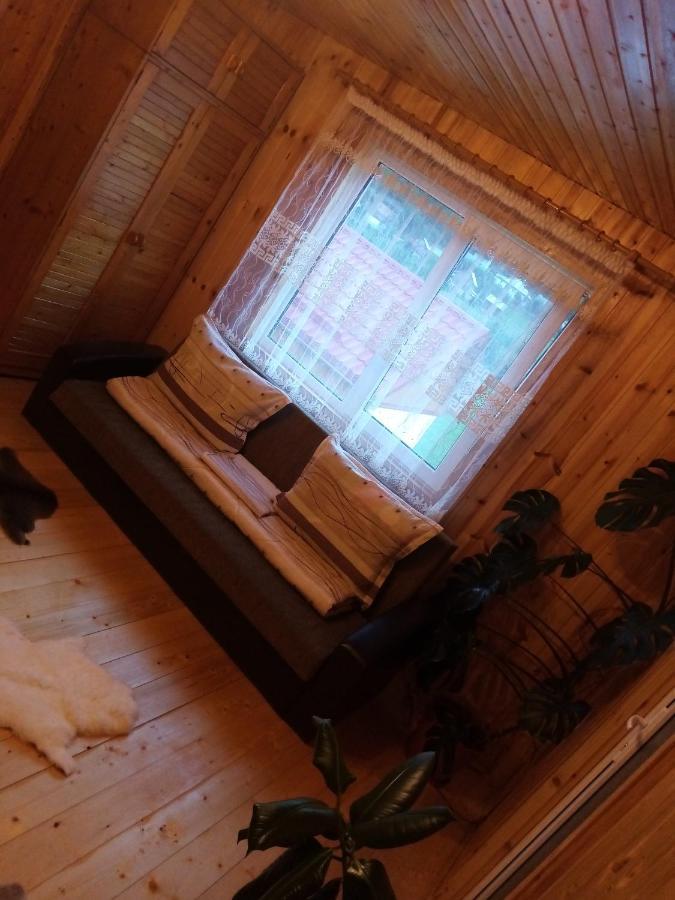Hotel Casa Prundari Nicu Si Mirela Poiana Teiului Esterno foto