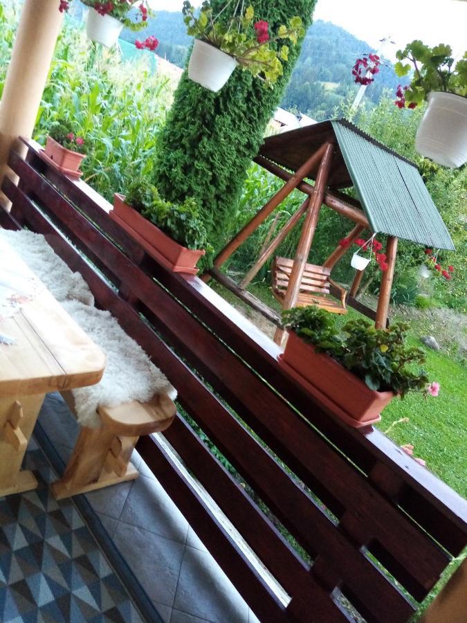 Hotel Casa Prundari Nicu Si Mirela Poiana Teiului Esterno foto