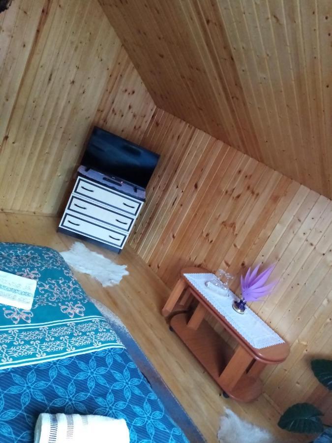 Hotel Casa Prundari Nicu Si Mirela Poiana Teiului Esterno foto