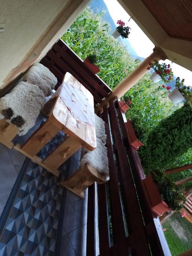 Hotel Casa Prundari Nicu Si Mirela Poiana Teiului Esterno foto