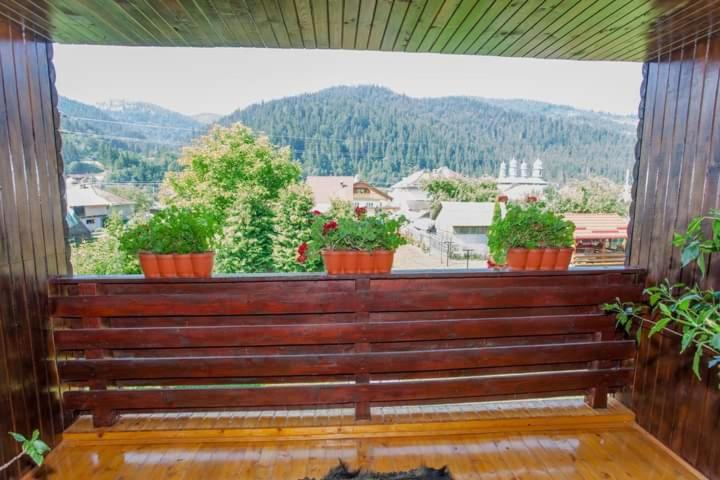 Hotel Casa Prundari Nicu Si Mirela Poiana Teiului Esterno foto