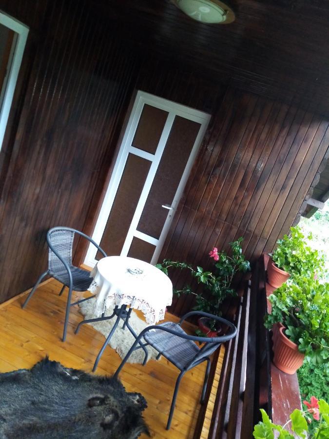 Hotel Casa Prundari Nicu Si Mirela Poiana Teiului Esterno foto