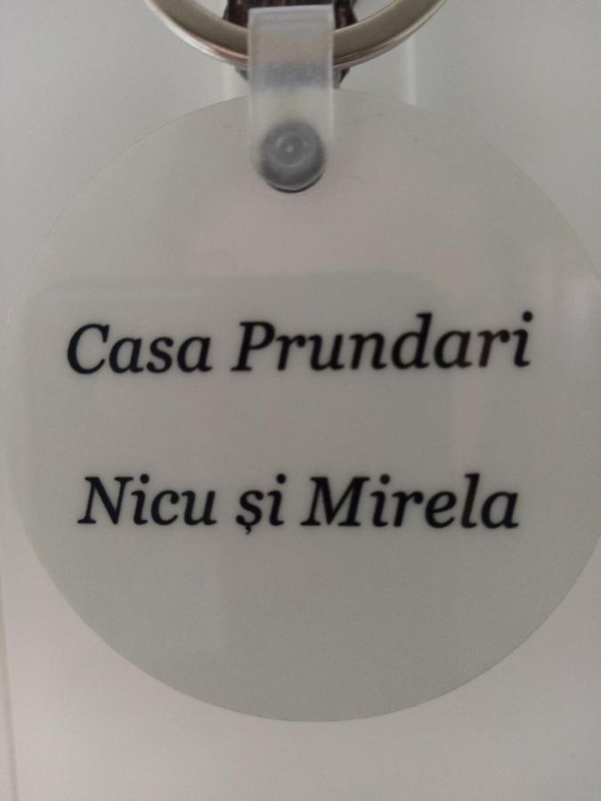 Hotel Casa Prundari Nicu Si Mirela Poiana Teiului Esterno foto