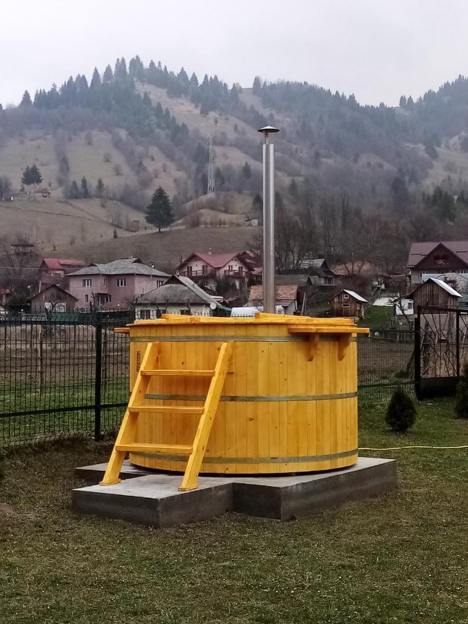 Hotel Casa Prundari Nicu Si Mirela Poiana Teiului Esterno foto