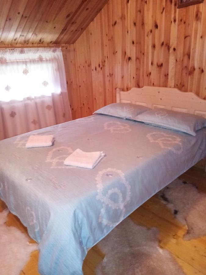 Hotel Casa Prundari Nicu Si Mirela Poiana Teiului Esterno foto