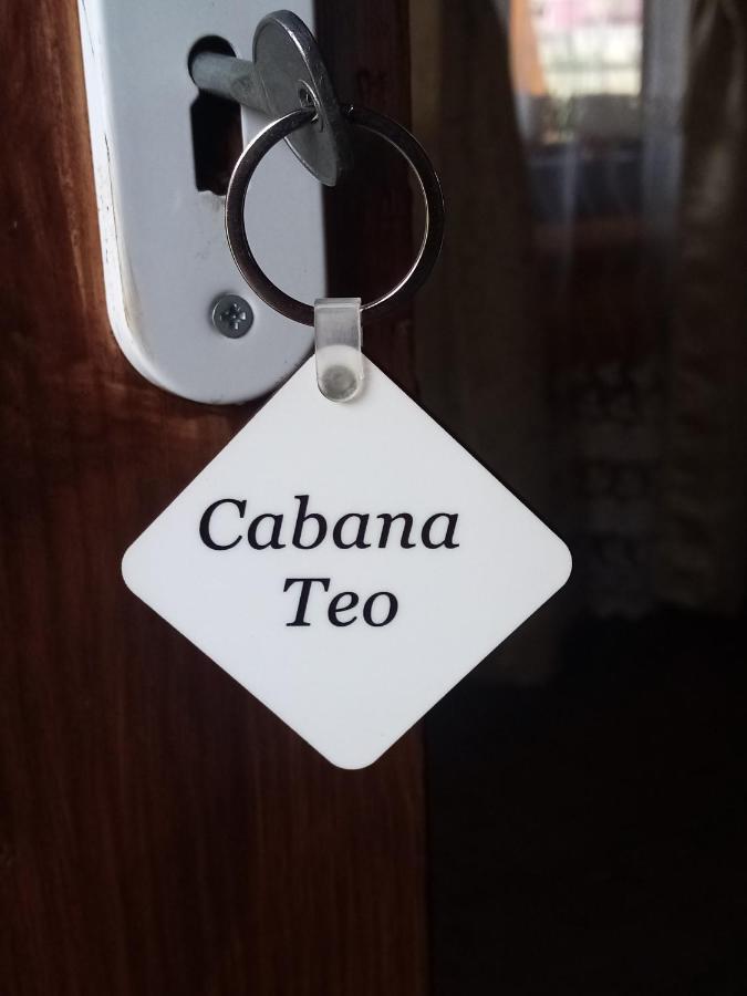 Hotel Casa Prundari Nicu Si Mirela Poiana Teiului Esterno foto