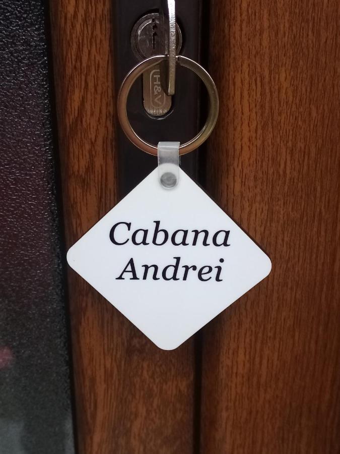 Hotel Casa Prundari Nicu Si Mirela Poiana Teiului Esterno foto