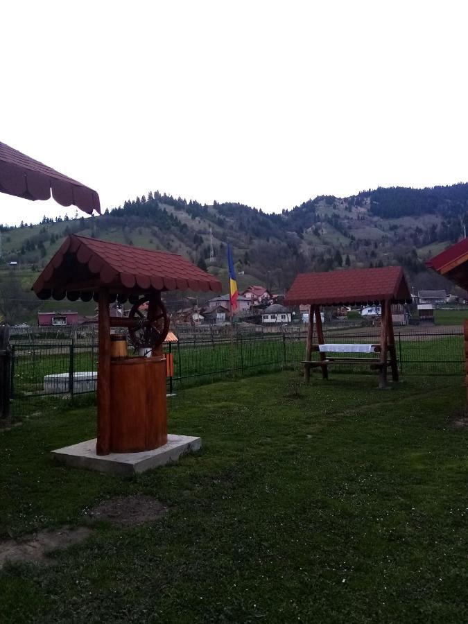 Hotel Casa Prundari Nicu Si Mirela Poiana Teiului Esterno foto