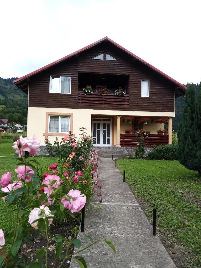 Hotel Casa Prundari Nicu Si Mirela Poiana Teiului Esterno foto