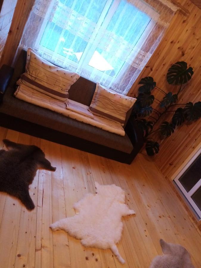 Hotel Casa Prundari Nicu Si Mirela Poiana Teiului Camera foto