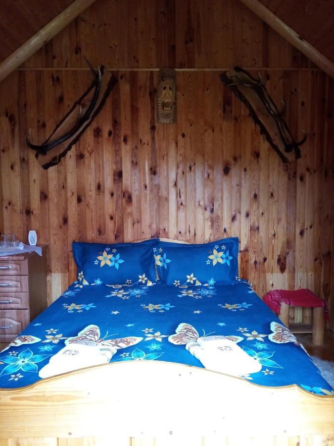 Hotel Casa Prundari Nicu Si Mirela Poiana Teiului Esterno foto