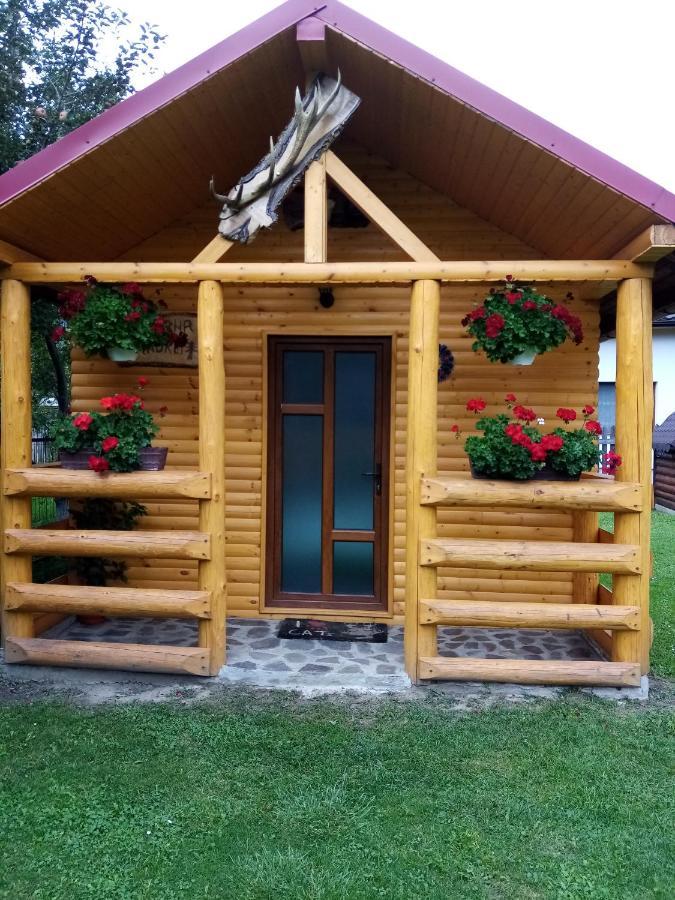 Hotel Casa Prundari Nicu Si Mirela Poiana Teiului Esterno foto