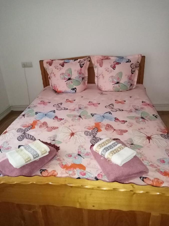 Hotel Casa Prundari Nicu Si Mirela Poiana Teiului Esterno foto