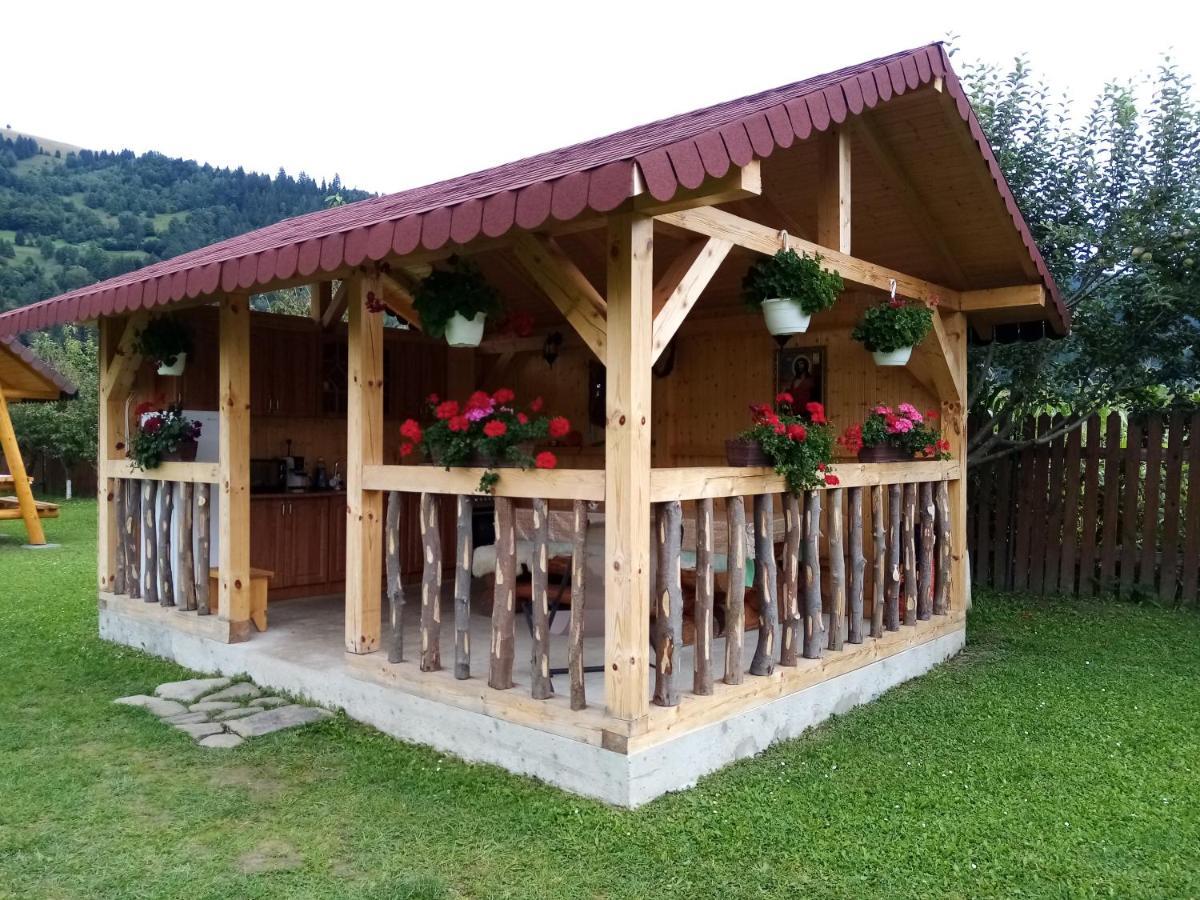Hotel Casa Prundari Nicu Si Mirela Poiana Teiului Esterno foto