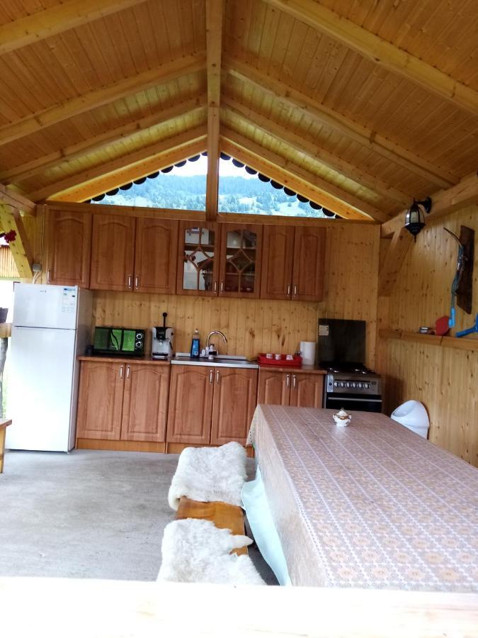 Hotel Casa Prundari Nicu Si Mirela Poiana Teiului Esterno foto
