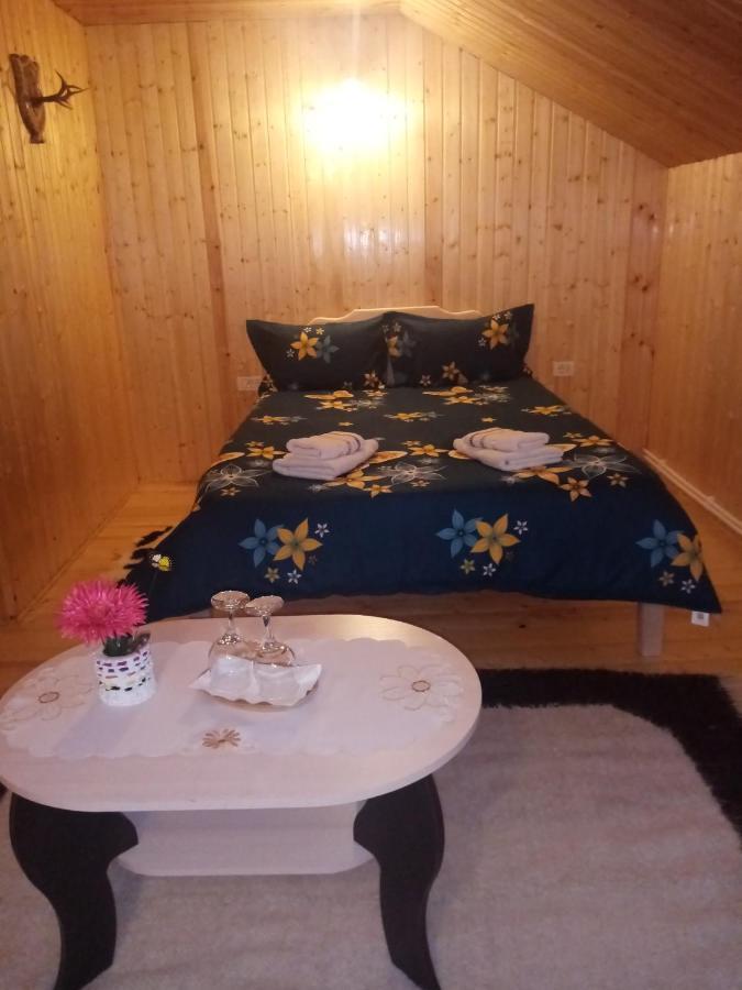 Hotel Casa Prundari Nicu Si Mirela Poiana Teiului Esterno foto