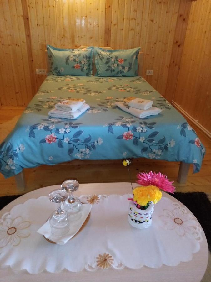 Hotel Casa Prundari Nicu Si Mirela Poiana Teiului Esterno foto
