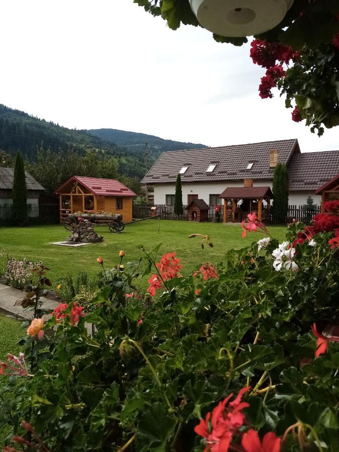 Hotel Casa Prundari Nicu Si Mirela Poiana Teiului Esterno foto