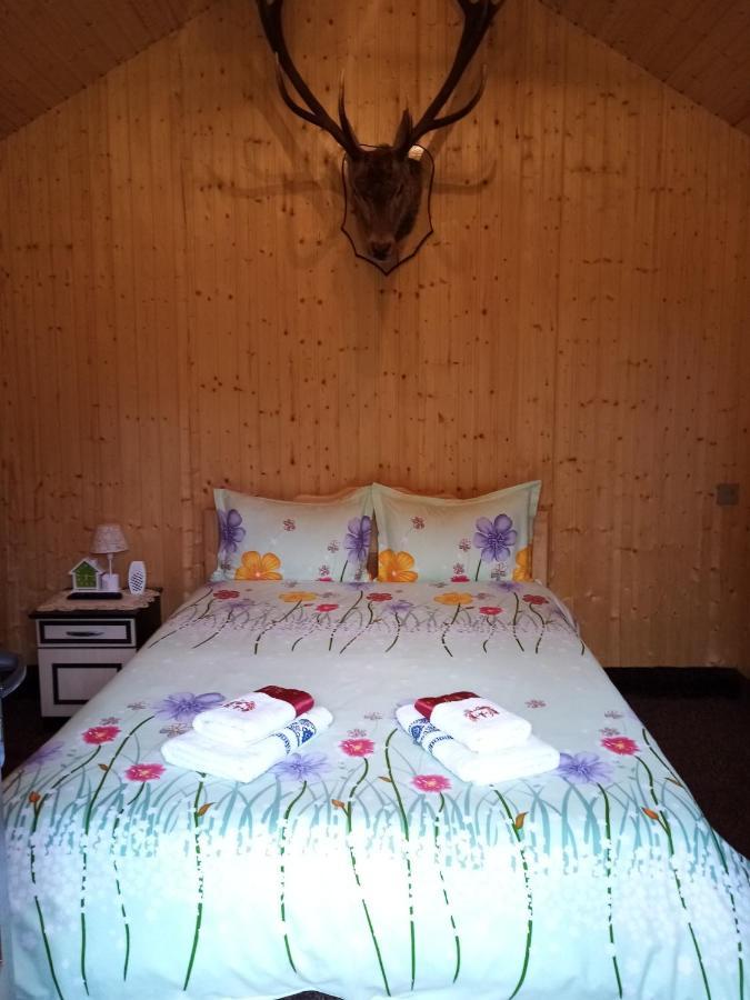 Hotel Casa Prundari Nicu Si Mirela Poiana Teiului Esterno foto