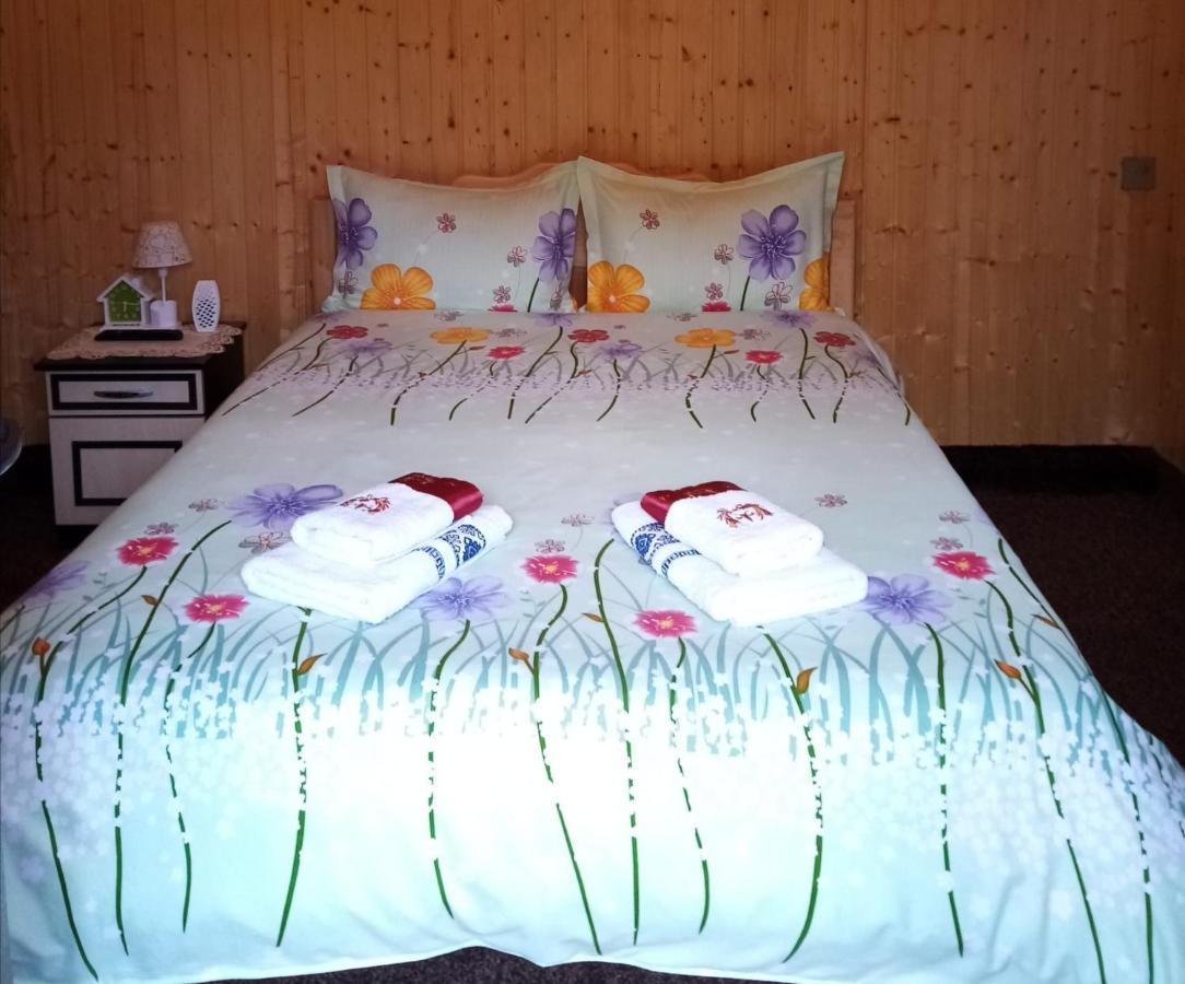 Hotel Casa Prundari Nicu Si Mirela Poiana Teiului Esterno foto