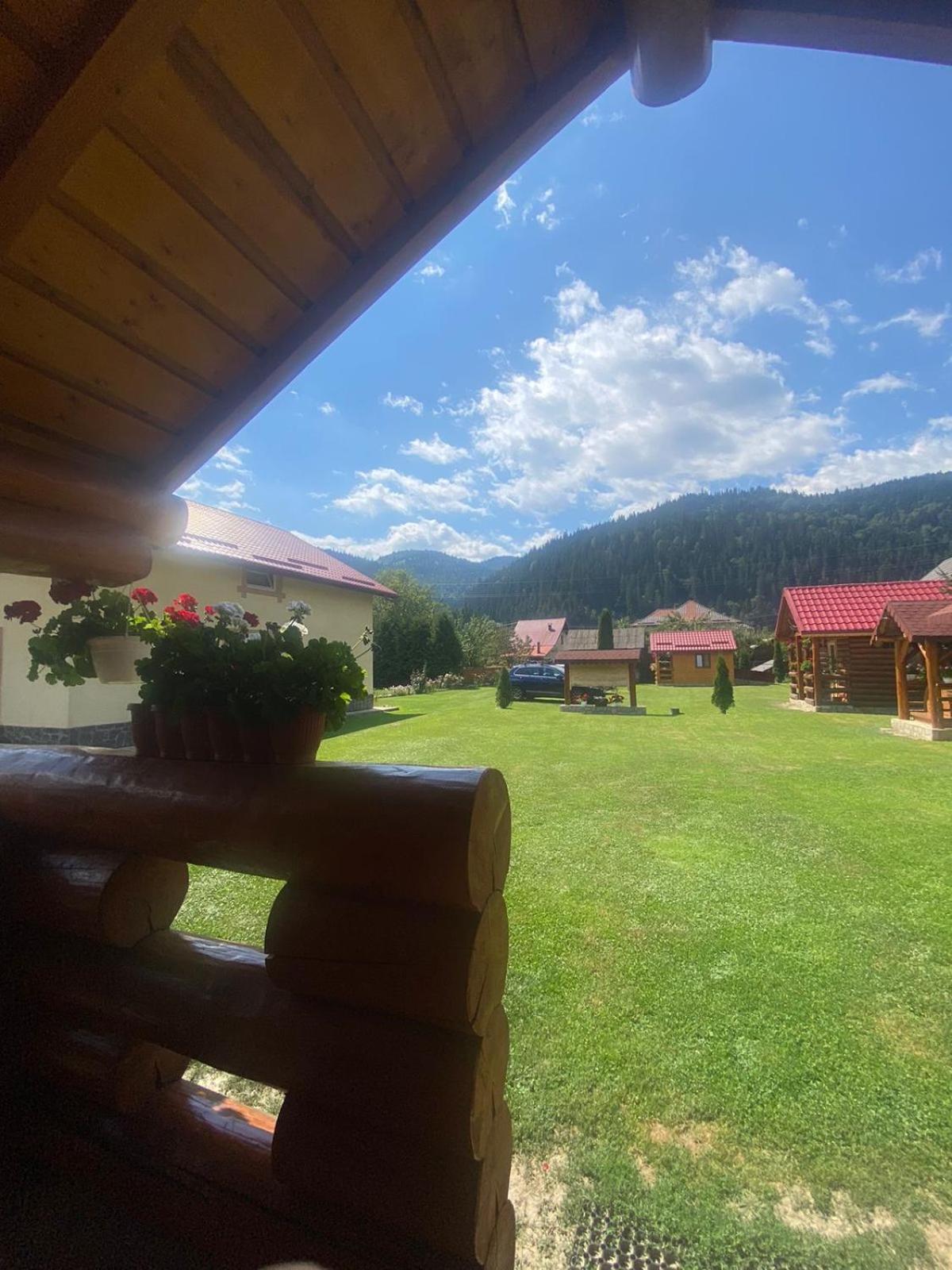 Hotel Casa Prundari Nicu Si Mirela Poiana Teiului Esterno foto