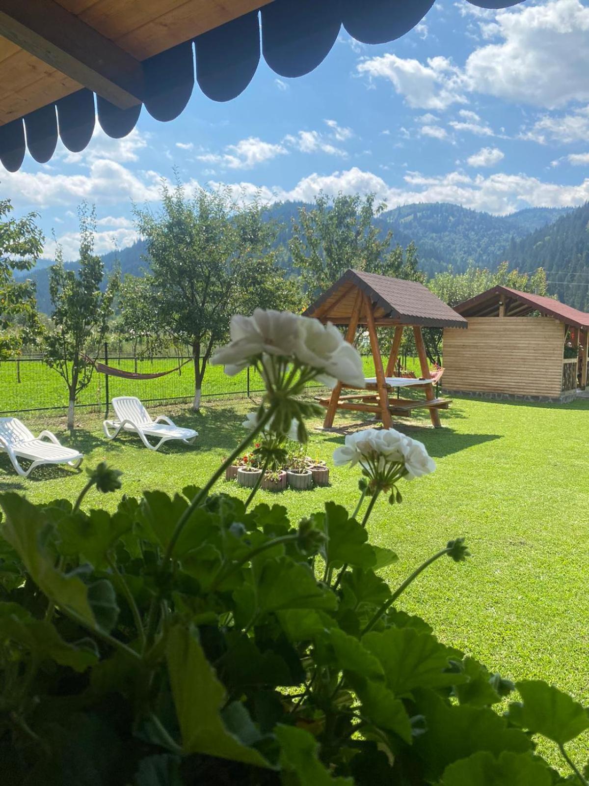 Hotel Casa Prundari Nicu Si Mirela Poiana Teiului Esterno foto